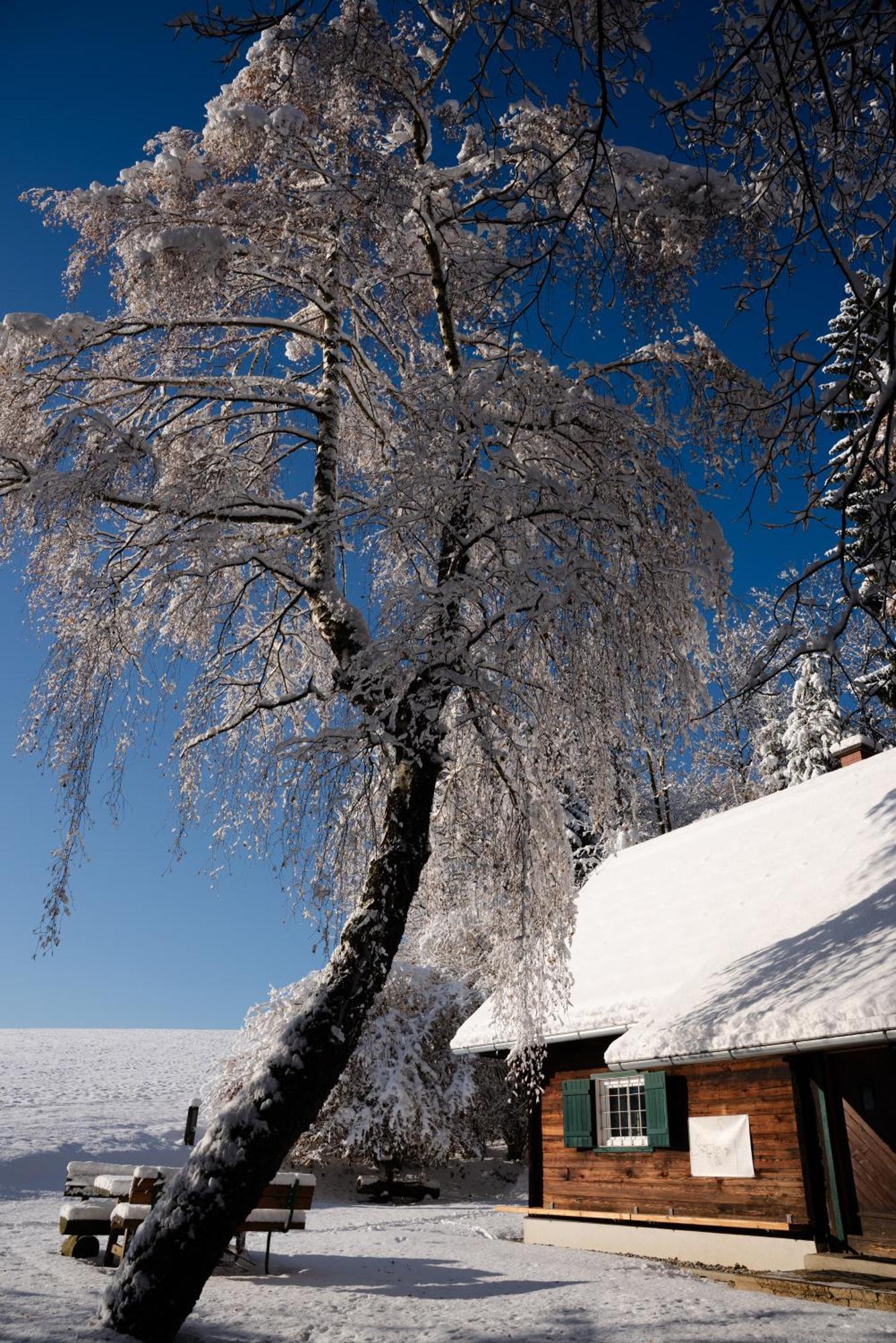 Gregor'S Ferienhaus Im Wald Villa Edelschrott Esterno foto