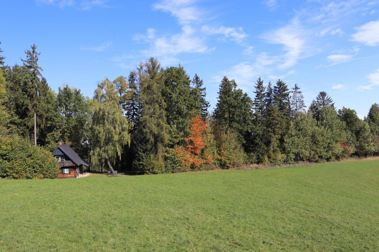 Gregor'S Ferienhaus Im Wald Villa Edelschrott Esterno foto